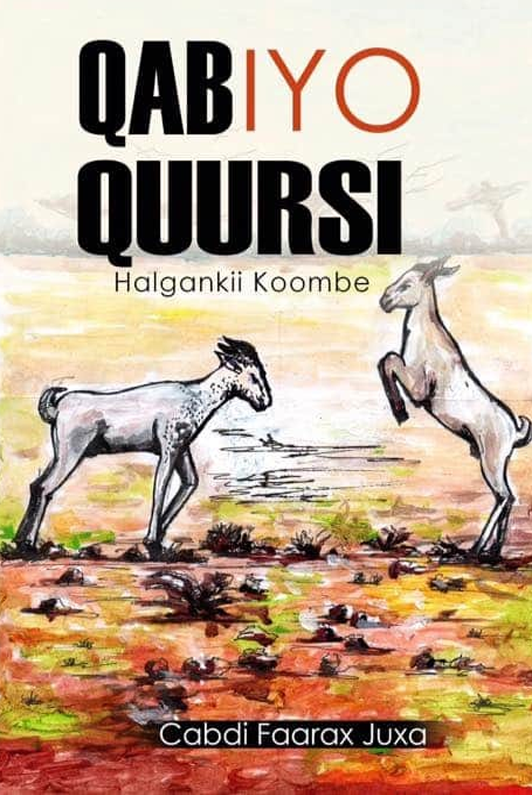 Cover of Qab iyo quursi
