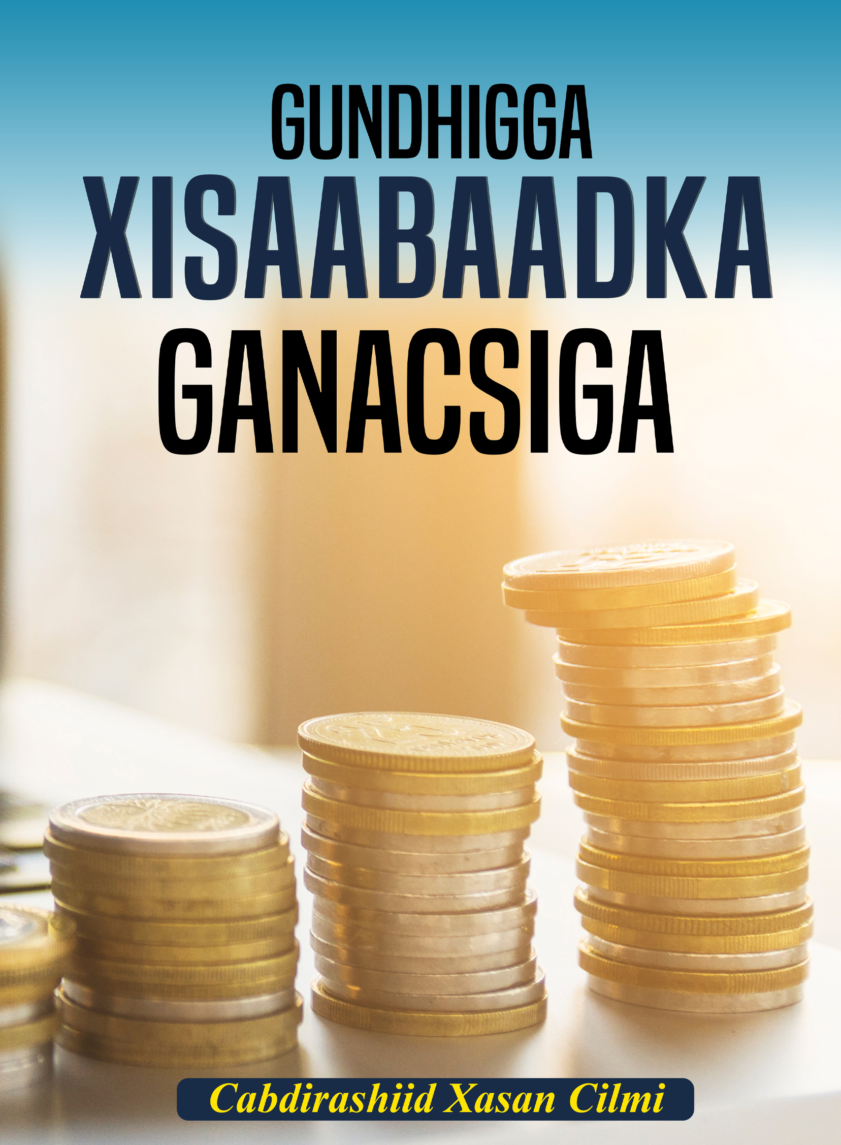 Cover of Gundhigga xisaabaadka ganacsiga